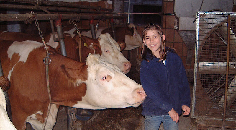 Stallarbeit auf dem Bauernhof in Bayern